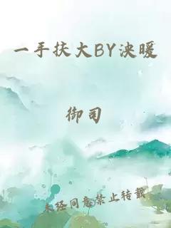 一手扶大BY泱暖