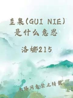 圭臬(GUI NIE)是什么意思