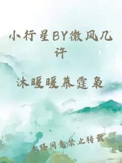 小行星BY微风几许