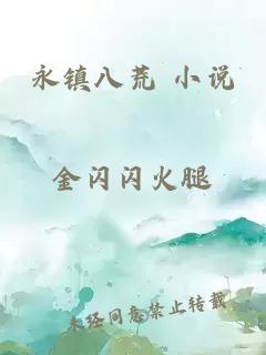 永镇八荒 小说