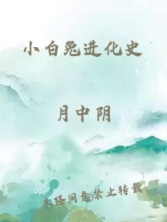 小白兔进化史