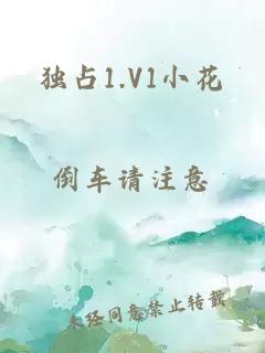 独占1.V1小花