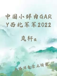 中国小鲜肉GARY西北军军2022