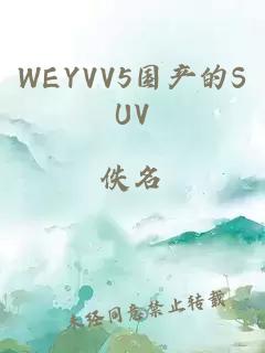 WEYVV5国产的SUV