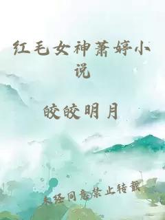 红毛女神萧婷小说