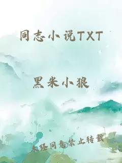 同志小说TXT