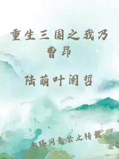 重生三国之我乃曹昂