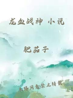 龙血战神 小说