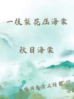 一枝梨花压海棠