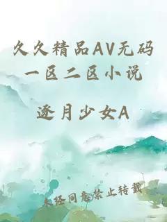 久久精品AV无码一区二区小说