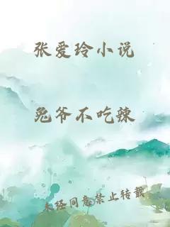 张爱玲小说