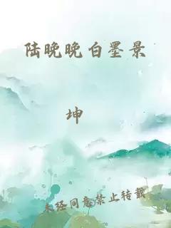 陆晚晚白墨景