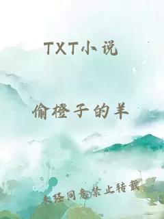 TXT小说