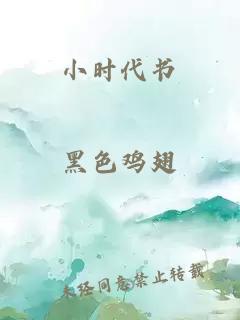 小时代书