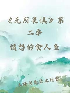 《无所畏惧》第二季