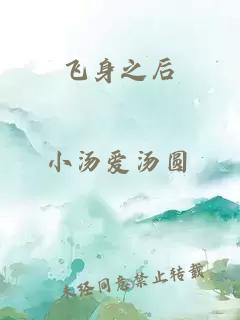 飞身之后