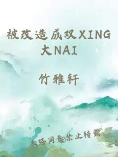 被改造成双XING大NAI