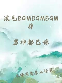 浓毛BGMBGMBGM胖