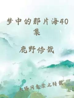 梦中的那片海40集