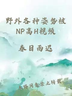 野外各种姿势被NP高H视频