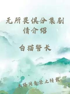 无所畏惧分集剧情介绍