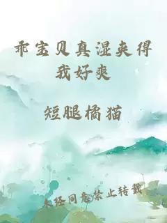 乖宝贝真湿夹得我好爽