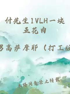 付先生1VLH一块五花肉