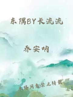 东隅BY长流流