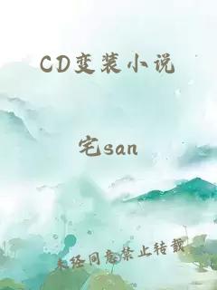 CD变装小说