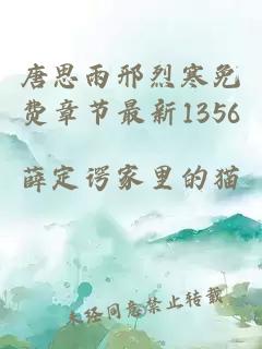 唐思雨邢烈寒免费章节最新1356