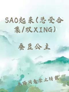 SAO起来(总受合集/双XING)