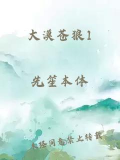 大漠苍狼1