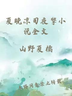 夏晚凉司夜擎小说全文