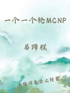 一个一个轮MCNP