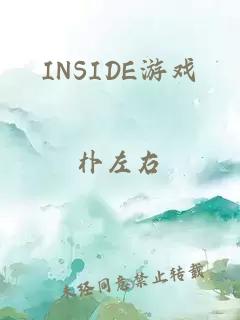 INSIDE游戏