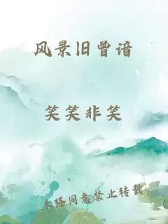 风景旧曾谙