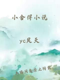 小舍得小说