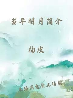 当年明月简介