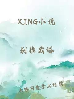 XING小说