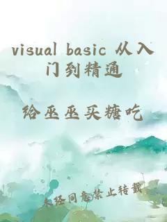 visual basic 从入门到精通