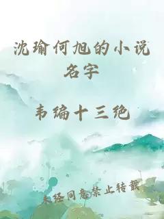 沈瑜何旭的小说名字