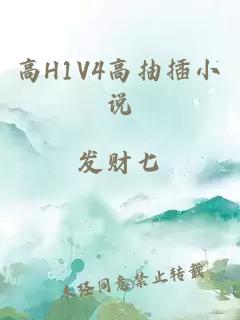 高H1V4高抽插小说