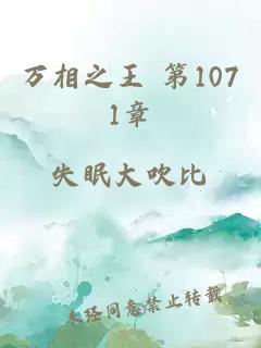 万相之王 第1071章