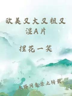 欧美又大又粗又湿A片