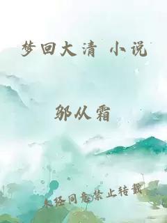 梦回大清 小说