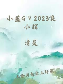 小蓝GⅤ2023浪小辉