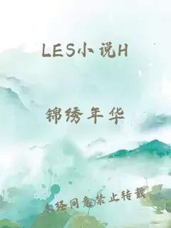 LES小说H