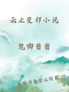 云止斐祁小说