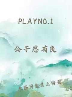 PLAYNO.1