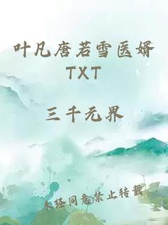 叶凡唐若雪医婿TXT